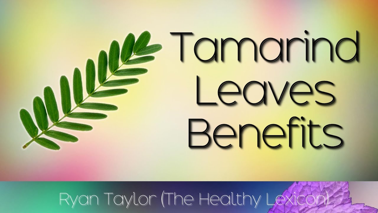 Tamarind Leaves: Benefits and Uses