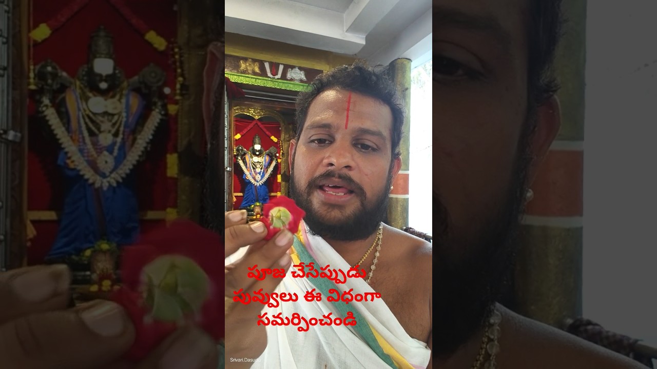 How to offer Flowers||#srivaridasudu #devotional #youtubeshorts #youtube #shorts #shortvideo #god