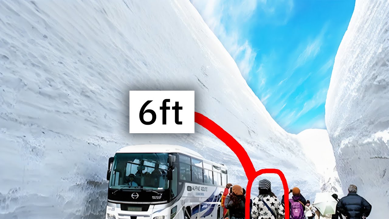 r/OddlySatisfying | Заставляет чувствовать себя таким маленьким, не правда ли?..