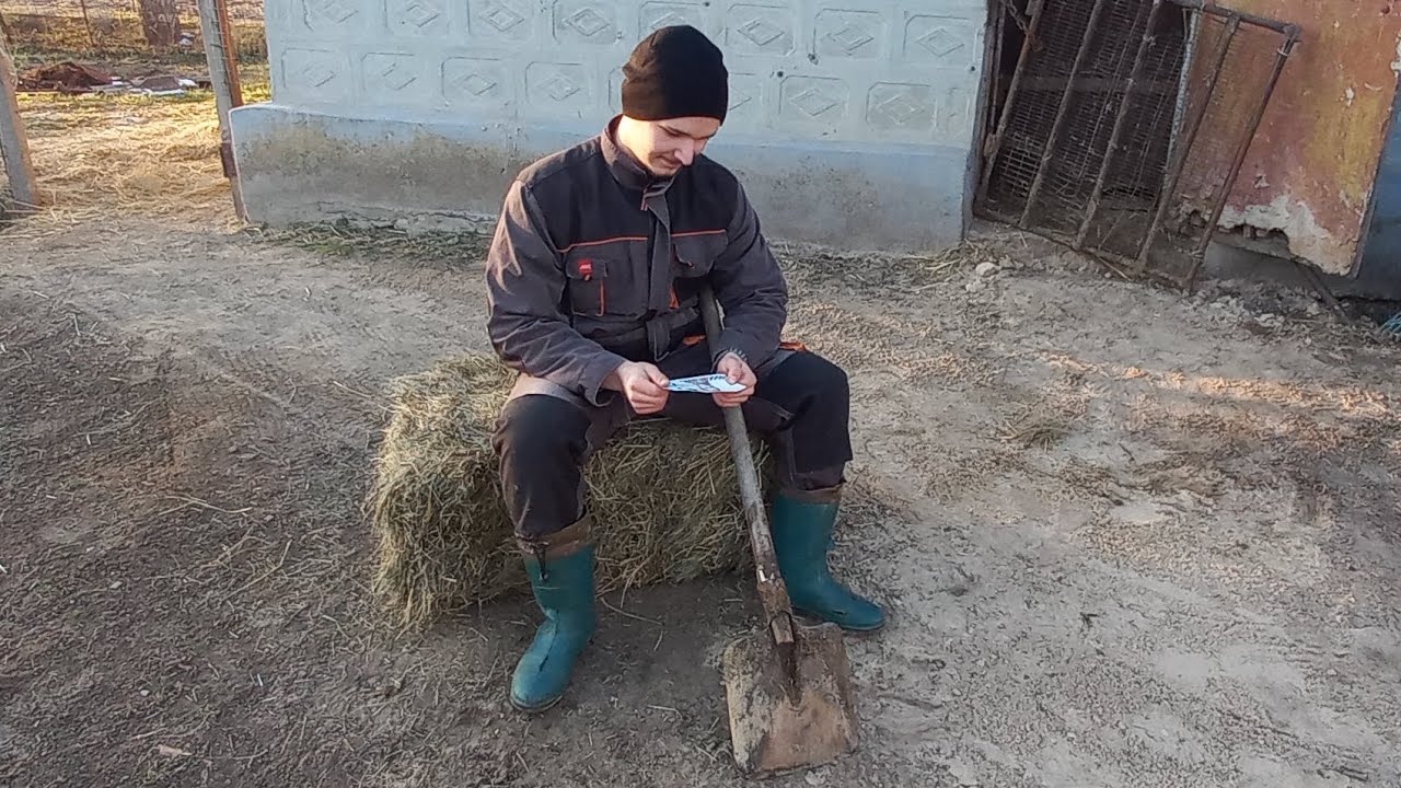 Відгодівля бичків.Заробітки-чи збитки? Без макухи не ростуть! Як рахувати корма? Ціна на ВРХ росте!