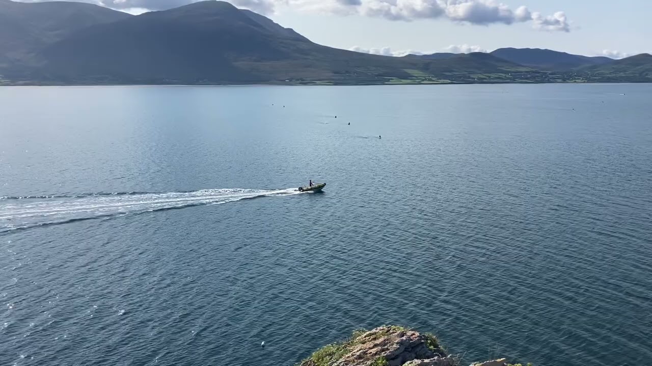 Derrymore to Fenit swim 2022