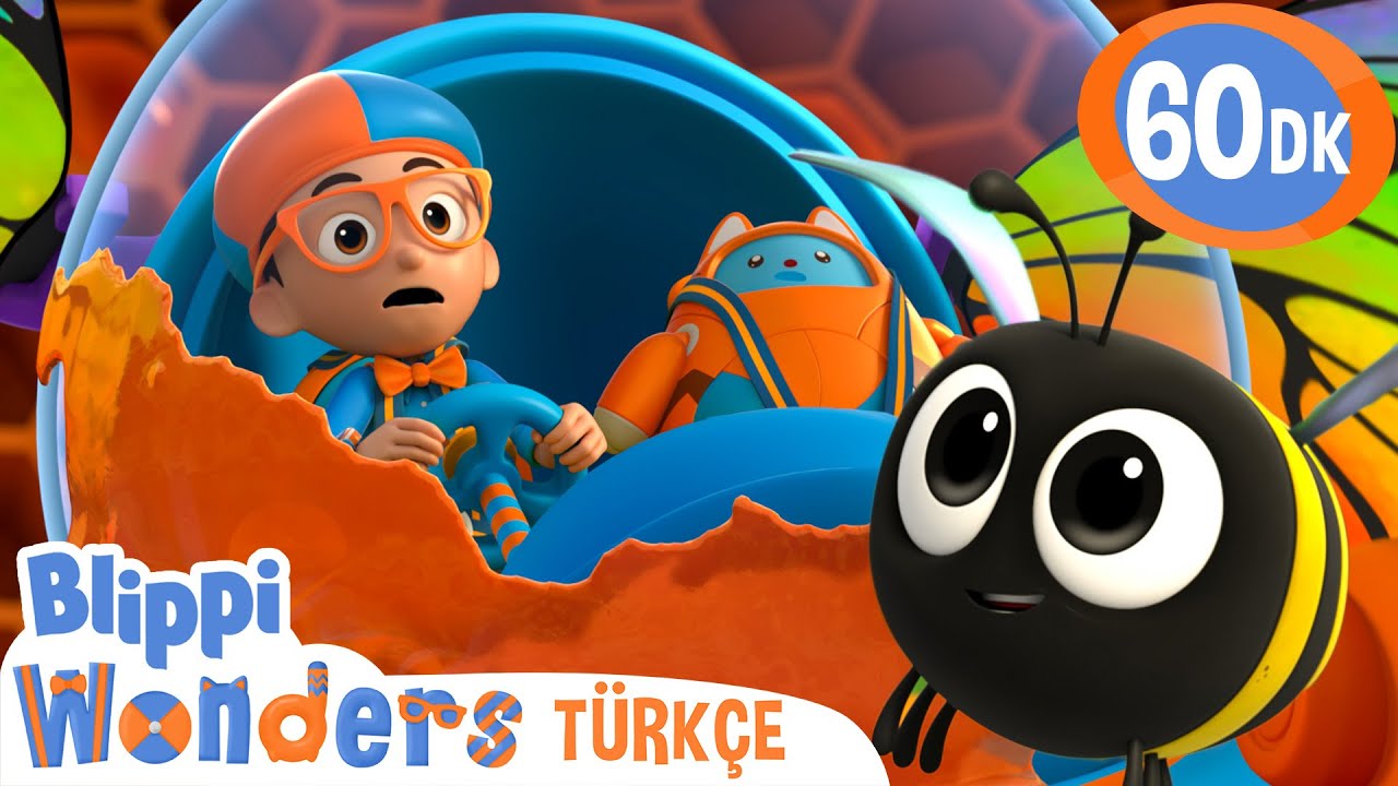 Blippi Arı Kovanında Bal Keşfinde | Blippi Türkçe - Çocuklar için Eğitici Videolar