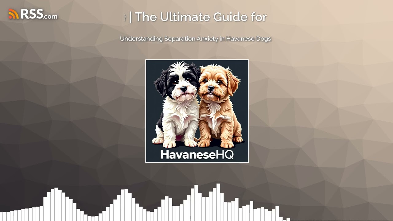 Understanding Separation Anxiety in Havanese Dogs