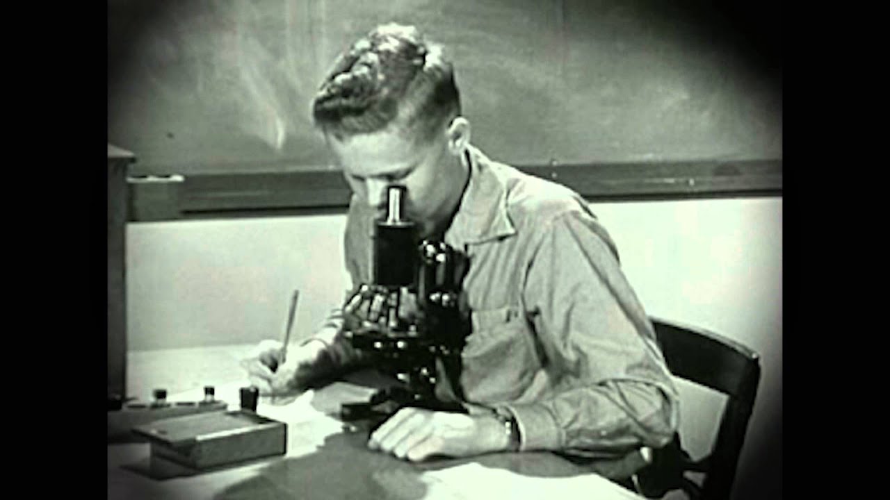 COLL 200: Historical Perspectives on Science