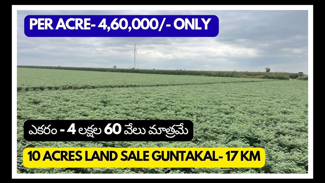 10 Acres Agriculture Land for Sale ||  Anantapur District (AP)
