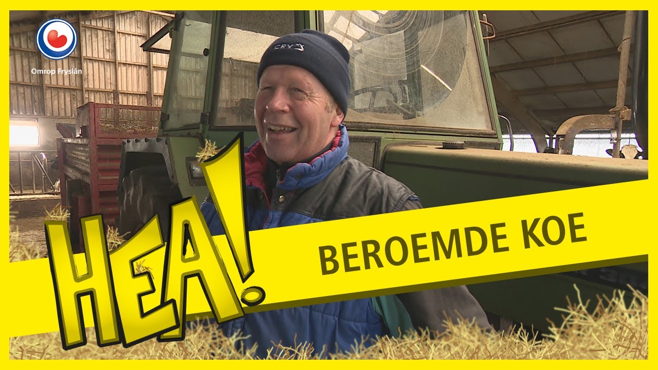 HEA! De koeien van boer Lootsma