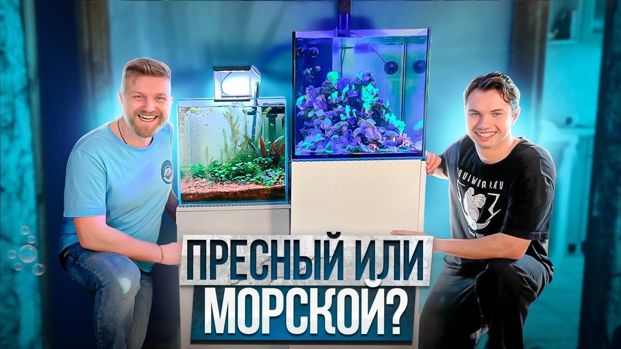 ОБЗОР АКВАРИУМОВ DENCRAB