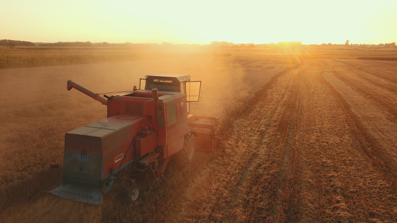 ŻNIWA 2022!!! 2X new holland & BIZON!!! (rolnictwo z drona #6 )