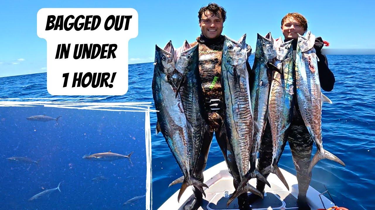 We found a MEGA school of SPANISH MACKEREL | Spearfishing Gold Coast, QLD Australia