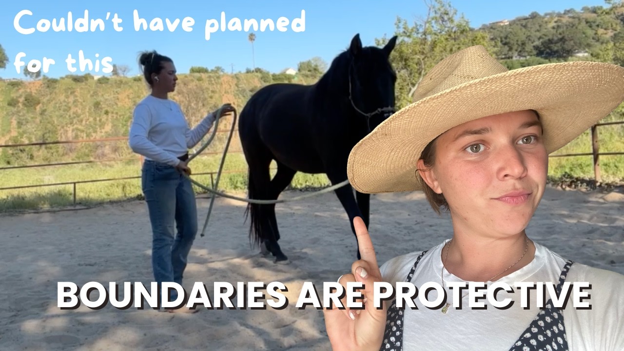 2 simple boundaries exercises you can practice with your horse
