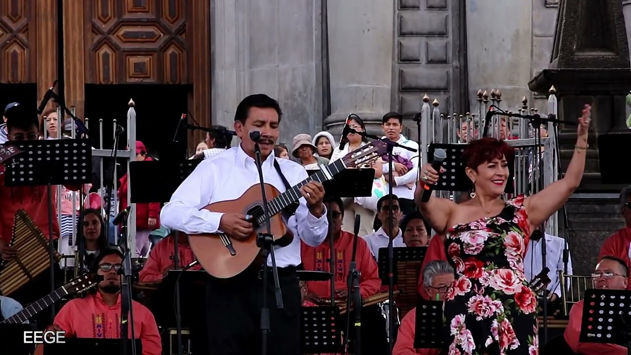 GRUPO YAVIRAC Plaza San Francisco 