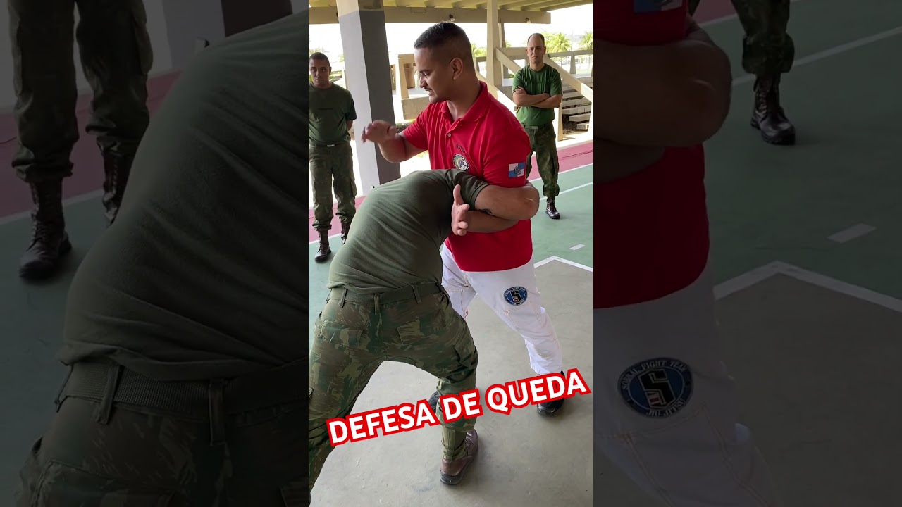 DEFESA DE QUEDA