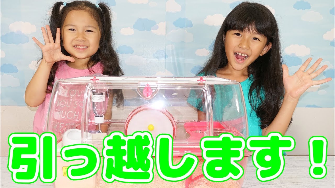 トラブル発生でひまわりちゃん早々にお引越しします＞＜himawari-CH
