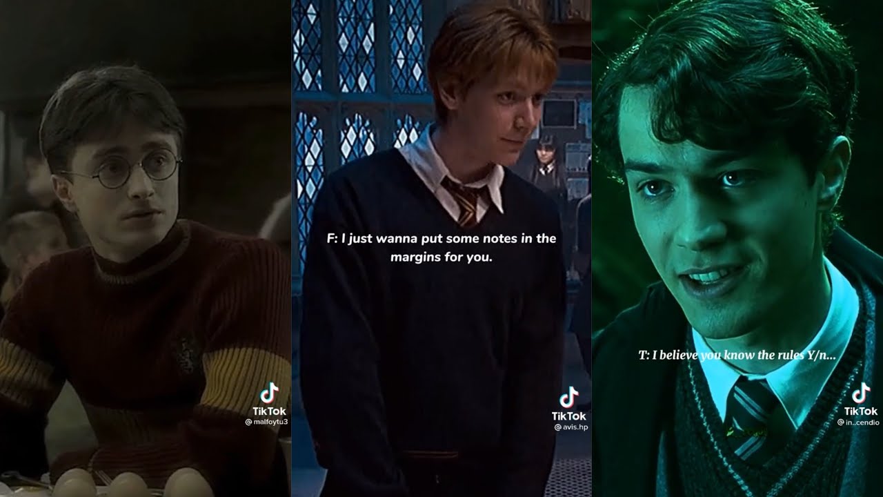 Harry Potter Characters x YN POVs
