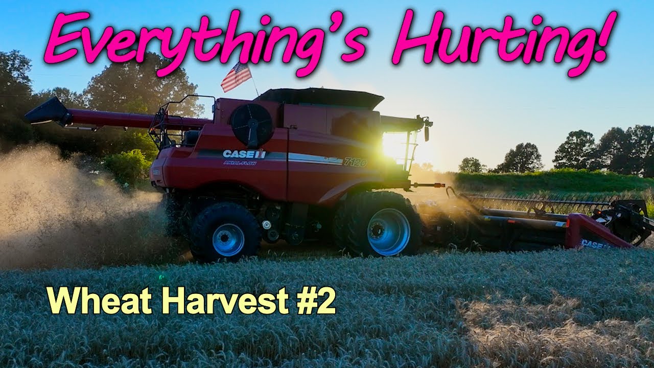 State Of The Union:  Everything's Hurtin!!!  Wheat Harvest #2 (6/10/24)