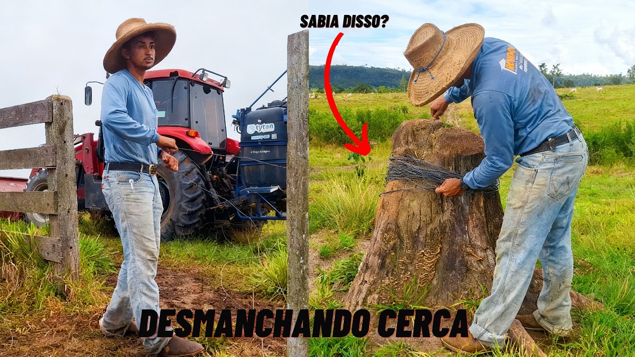 DIA de LIDA  desmanchei UMA cerca! parte 1