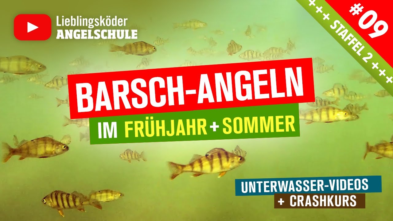 Barsch Angeln im Fr&uuml;hjahr + Sommer 🎣 (Staffel 2, Folge 9)