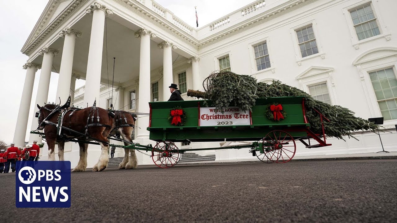 WATCH LIVE: Jill Biden receives the 2024 White House Christmas Tree