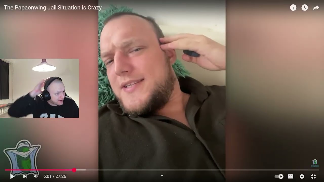 Papaonwing reacts to pickletime video 2.0 !