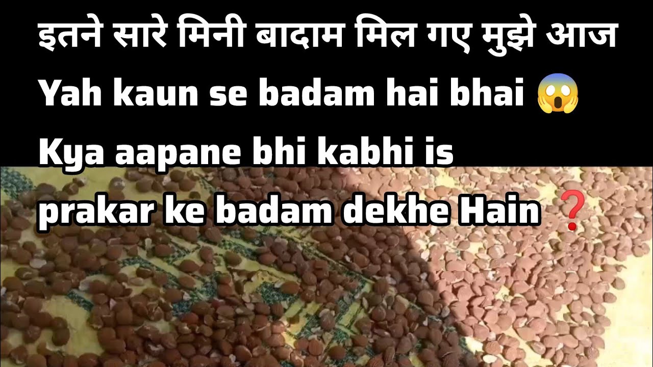 Itne sare mini badam Mil Gaye mujhe aaj# yah kis prakar ke badam mile mujhe aaj viral Vlog
