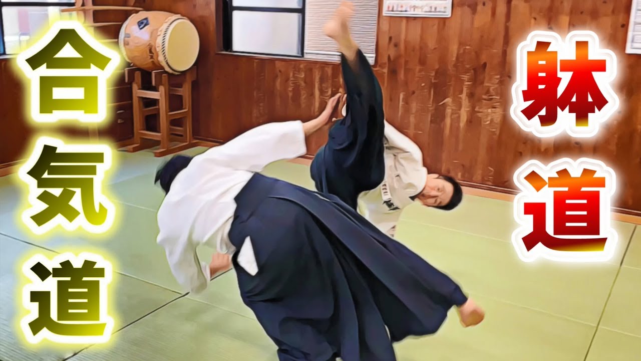 Aikido and Taidō are fused! Try a special Ninja counter
