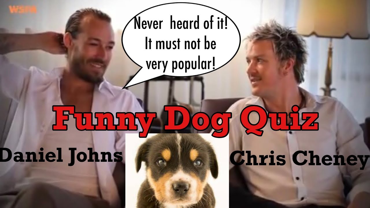 Funny Dog Quiz - Daniel Johns & Chris Cheney test their knowledge of dogs 😂🦮