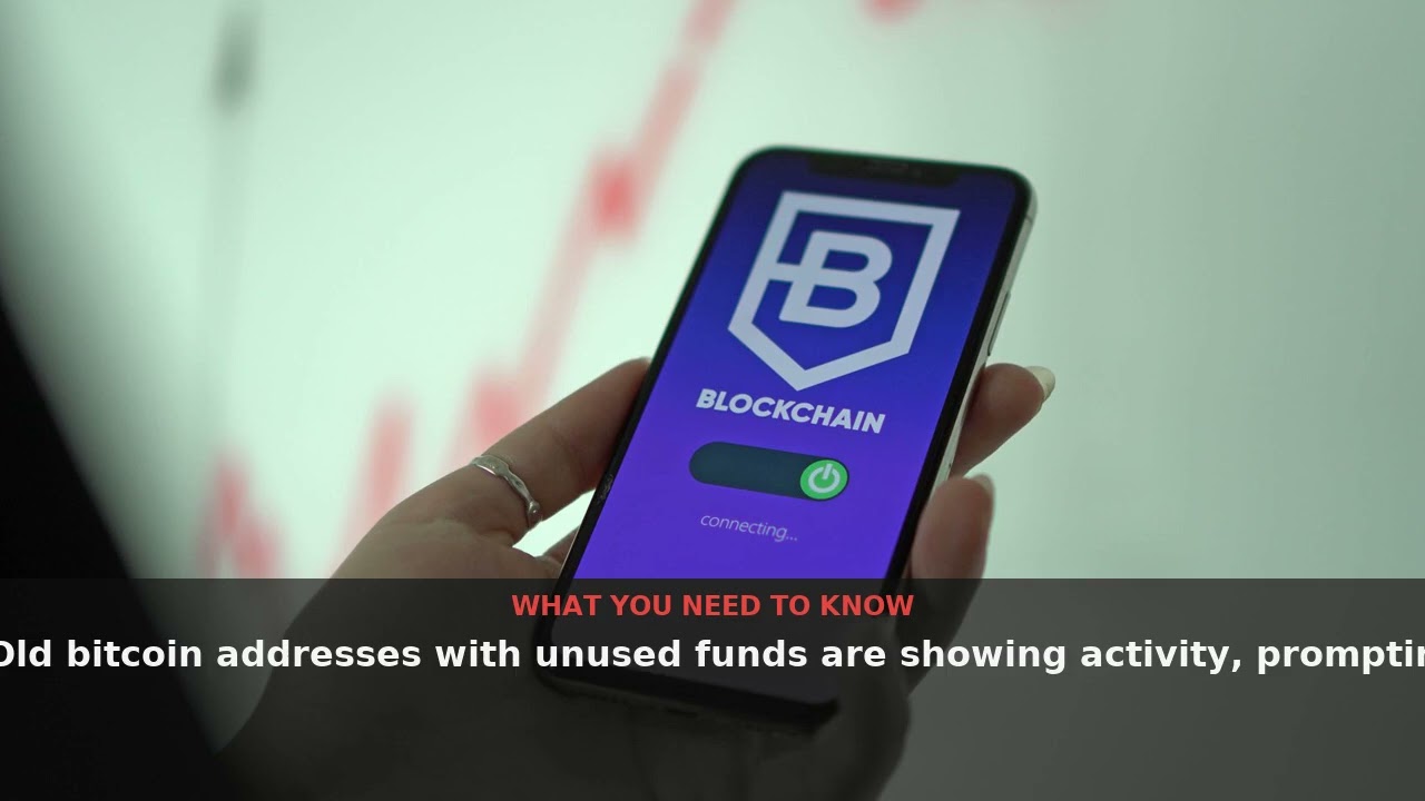 Dormant Bitcoin Wallets Stir Market Attention as Coins Move | August 2026 | NewsDrop