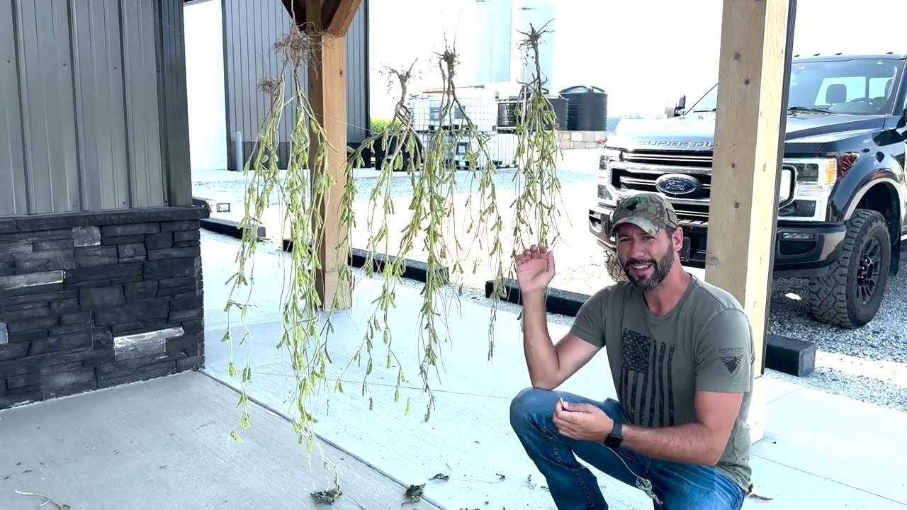 Soybean Nutrition at R4: 