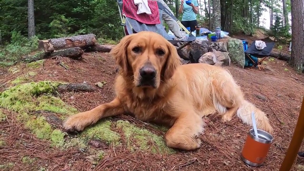A Quetico Adventure Part 1