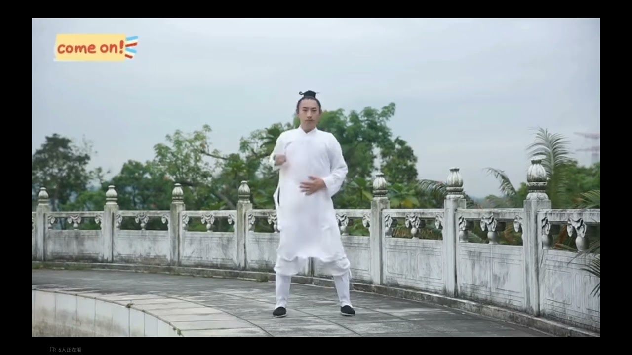 李在峰 八段锦教学
