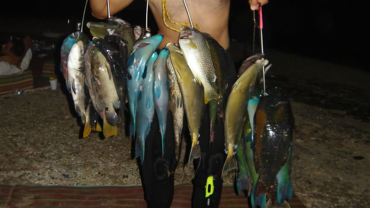 NIGHT SPEARFISHING – Shark Encounter, Catching Lobsters & Unicorn Fish!