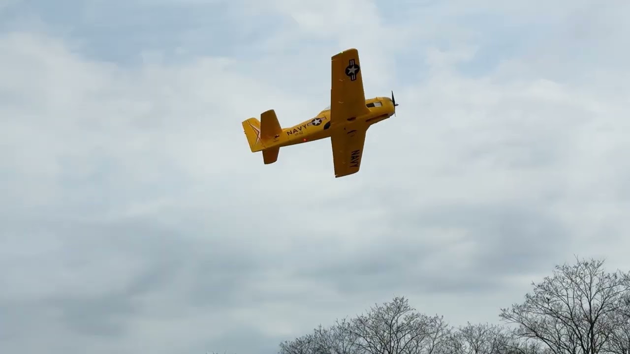 E-flite Carbon Z T-28 slow scale flying with a hard landing. Brooklyn, NY RC Flying.
