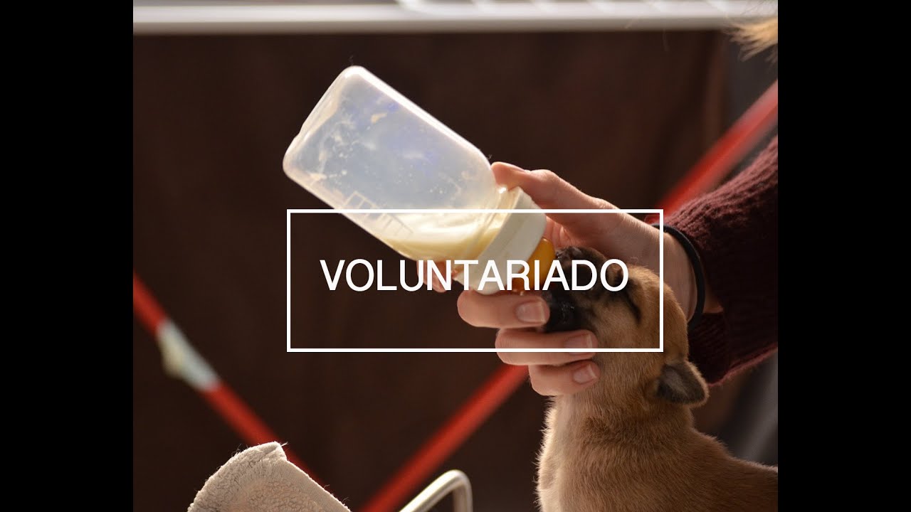 Voluntariado ASPAC