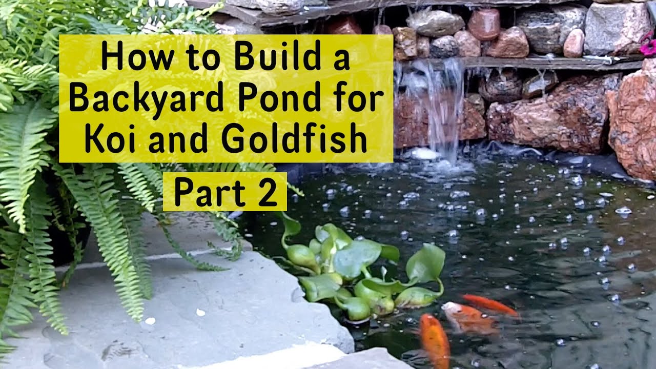 How to Build a Backyard Pond for Koi and Goldfish Part 2 - Pond Liner and Filter