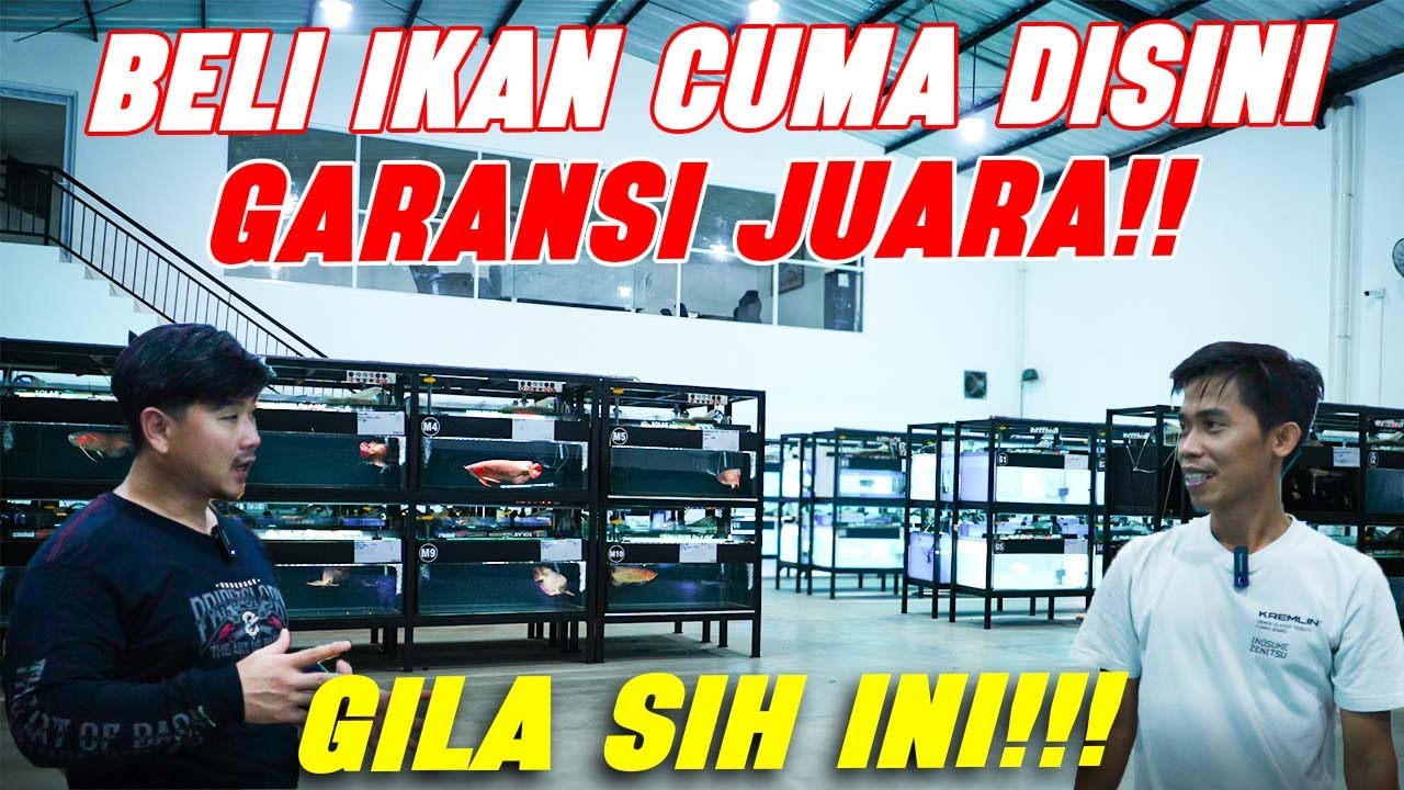 GREBEK!! INTIP PERSIAPAN KONTES 88 RED GALLERY GARANSI JUARA!!!