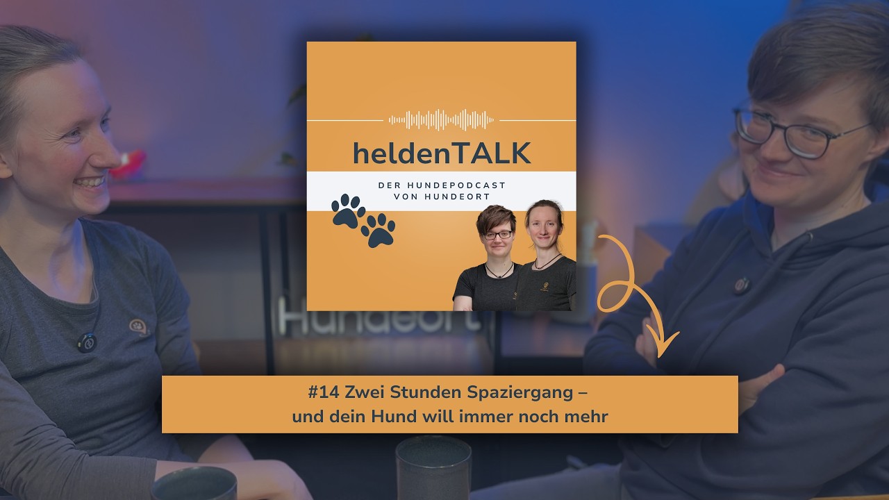 #14 Zwei Stunden Spaziergang – und dein Hund will immer noch mehr