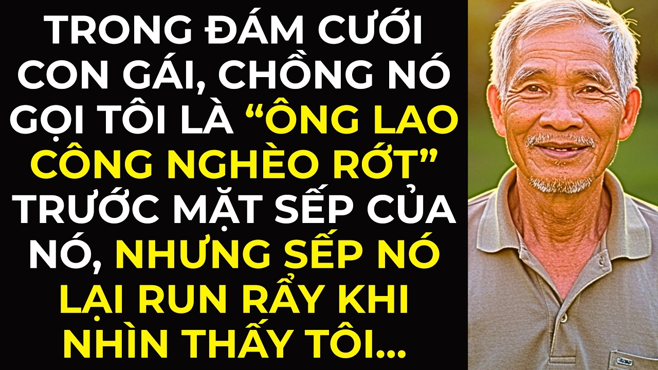 Trong đám cưới con gái, chồng nó gọi tôi là “ông lao công nghèo rớt” trước mặt sếp...