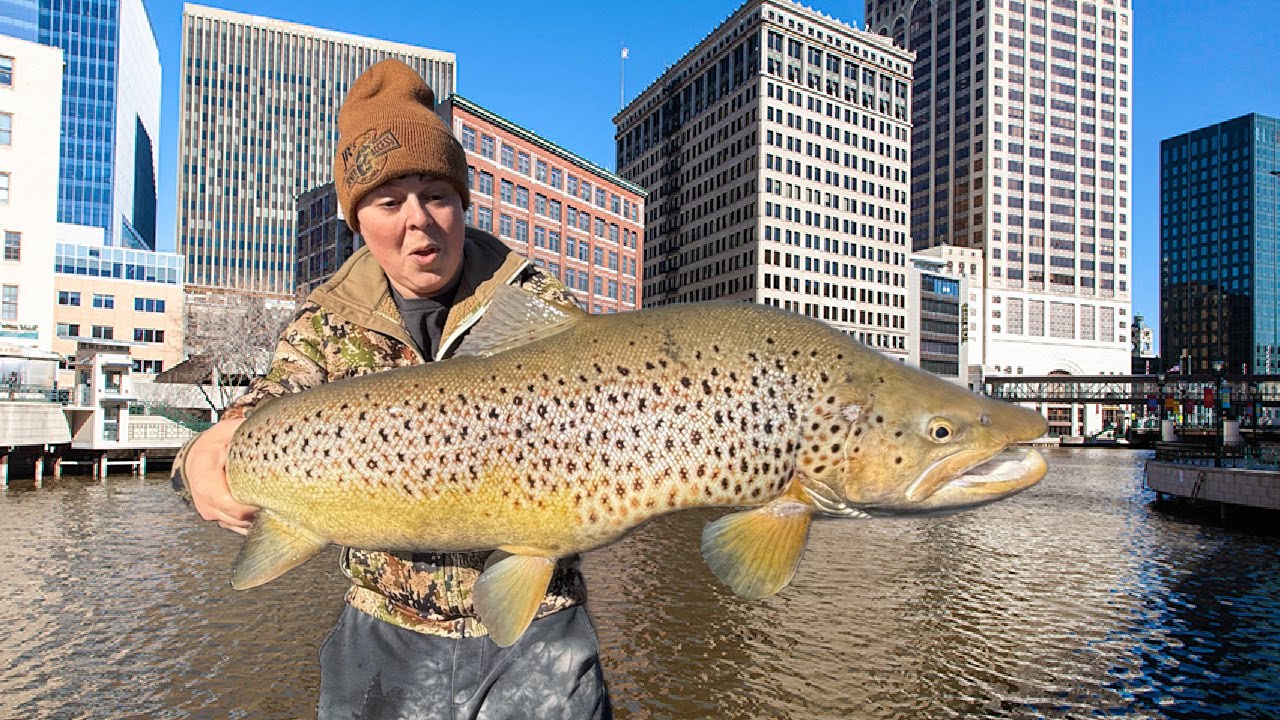Urban Fishing for Massive Trout! 
