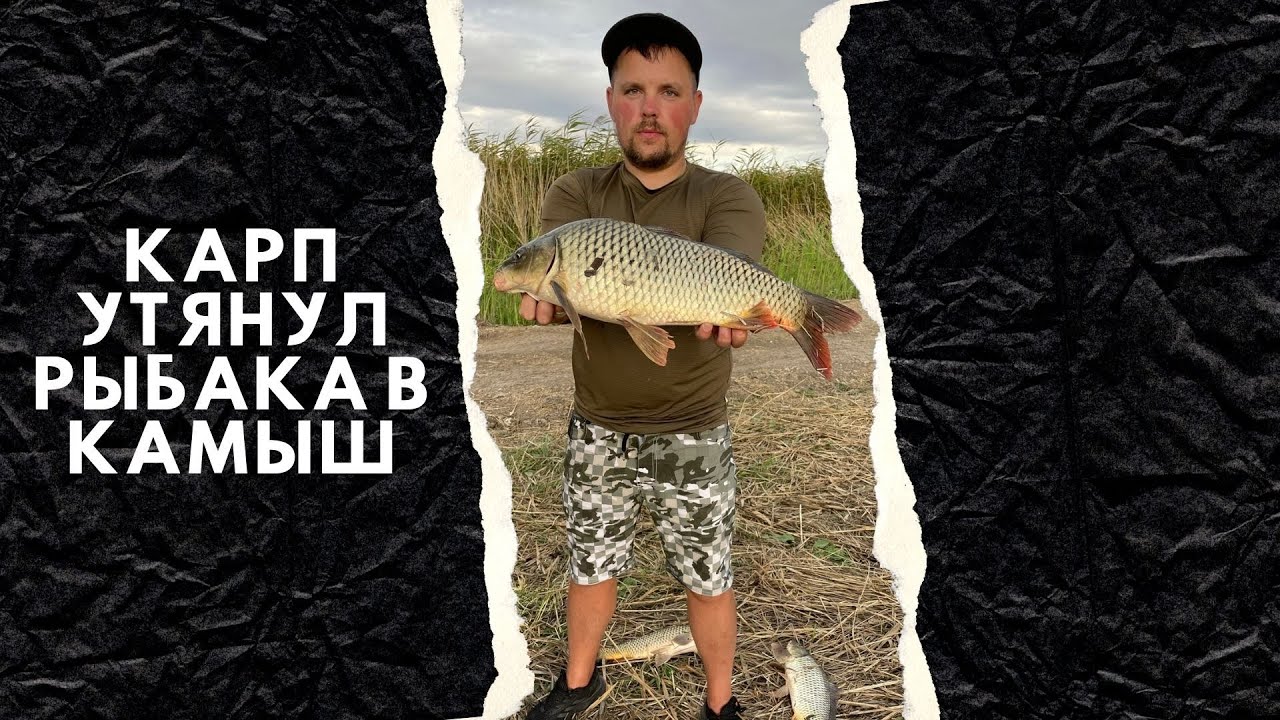 КАРП НА ДНЕСТРЕ УТЯНУЛ В КАМЫШ