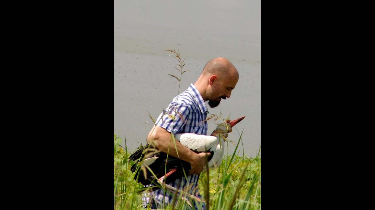 PADULE DI FUCECCHIO: RIMETTIAMOCI IN MARCIA