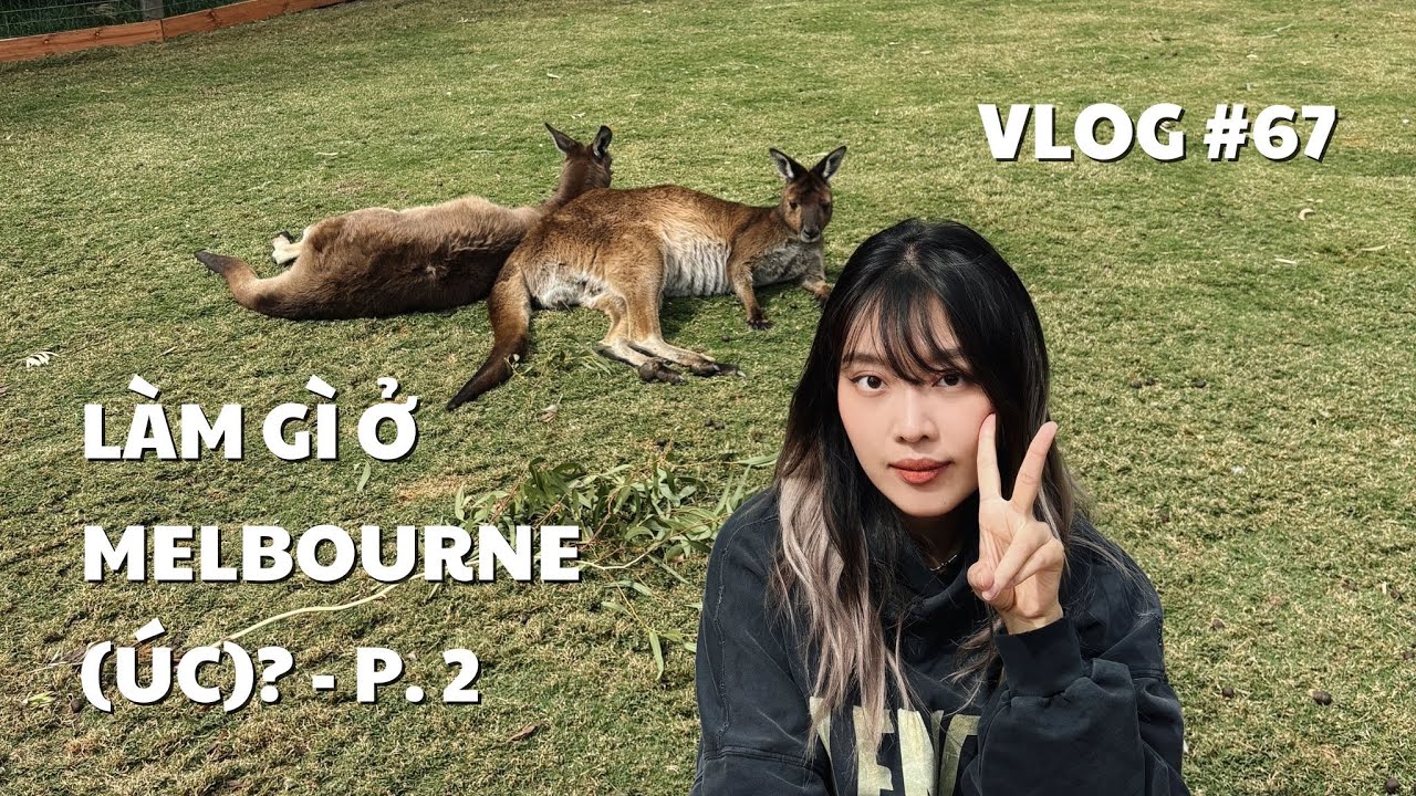 VLOG #67: L&Agrave;M G&Igrave; Ở MELBOURNE (&Uacute;C)? - P. 2 | duongfynn