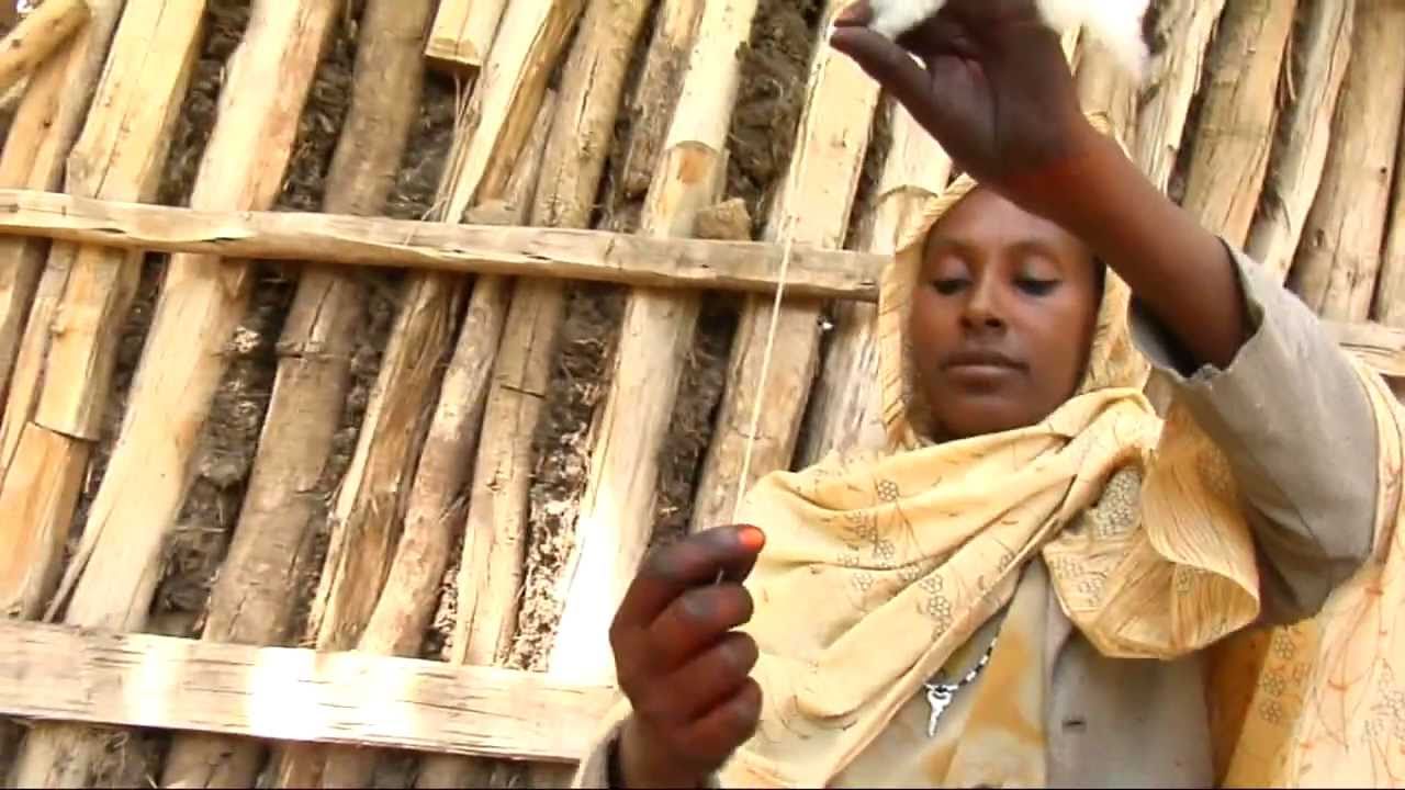 Ethiopia - Midlands and Lowlands, Adaptation Measures to Fight Climate Change