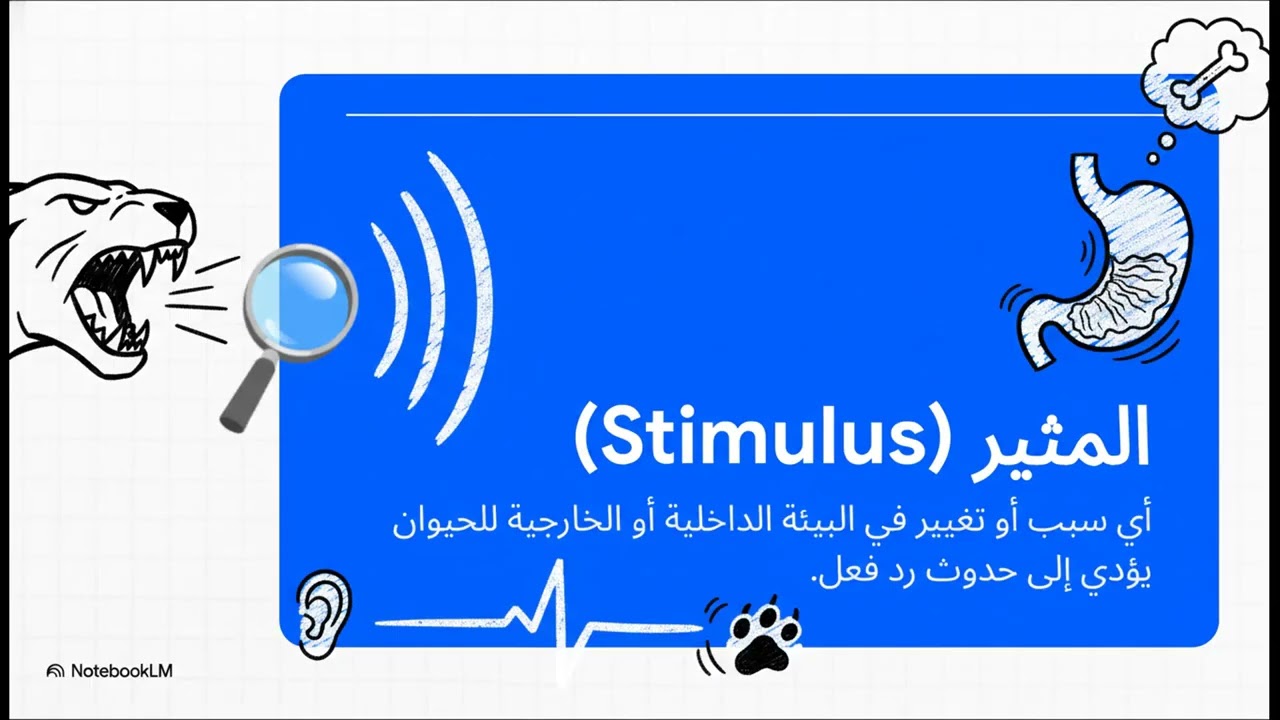 تركيب الحيوانات 