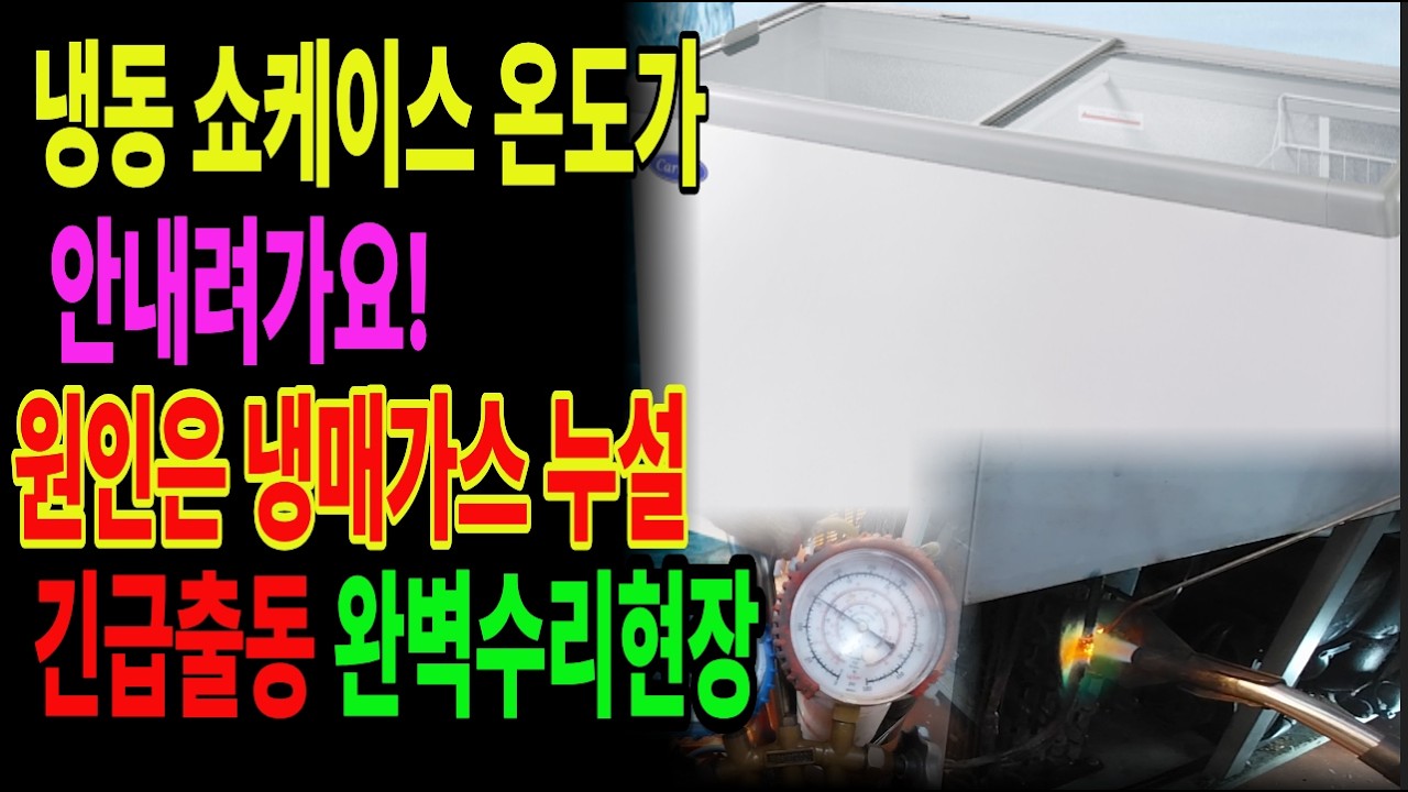 0303냉동 쇼케이스 온도가 안내려가요! 원인은 냉매가스 누설이었습니다 | 긴급출동 현장수리