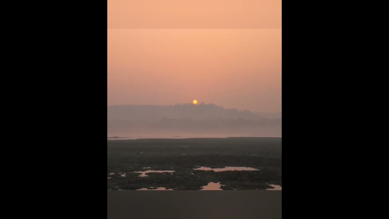 Golden Hour Gallery: Nature's Best Lighting 📸✨