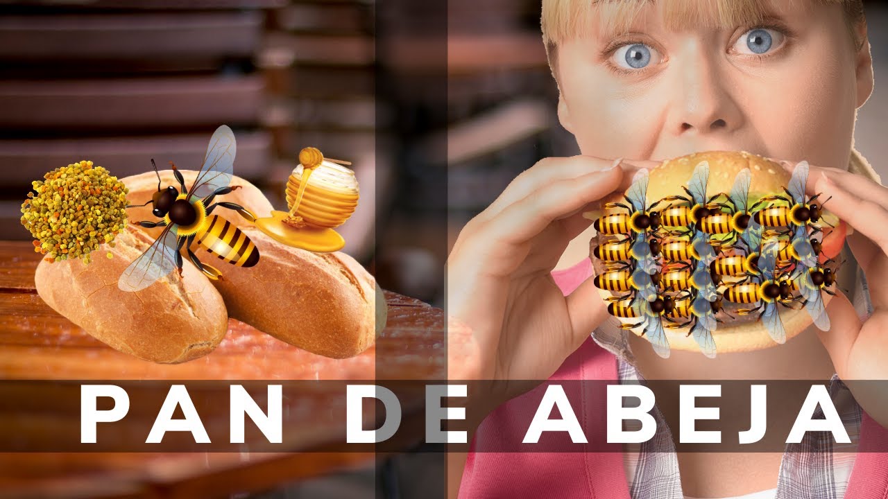 TEMPORADA 1 - EPISODIO 6 | PAN DE ABEJA