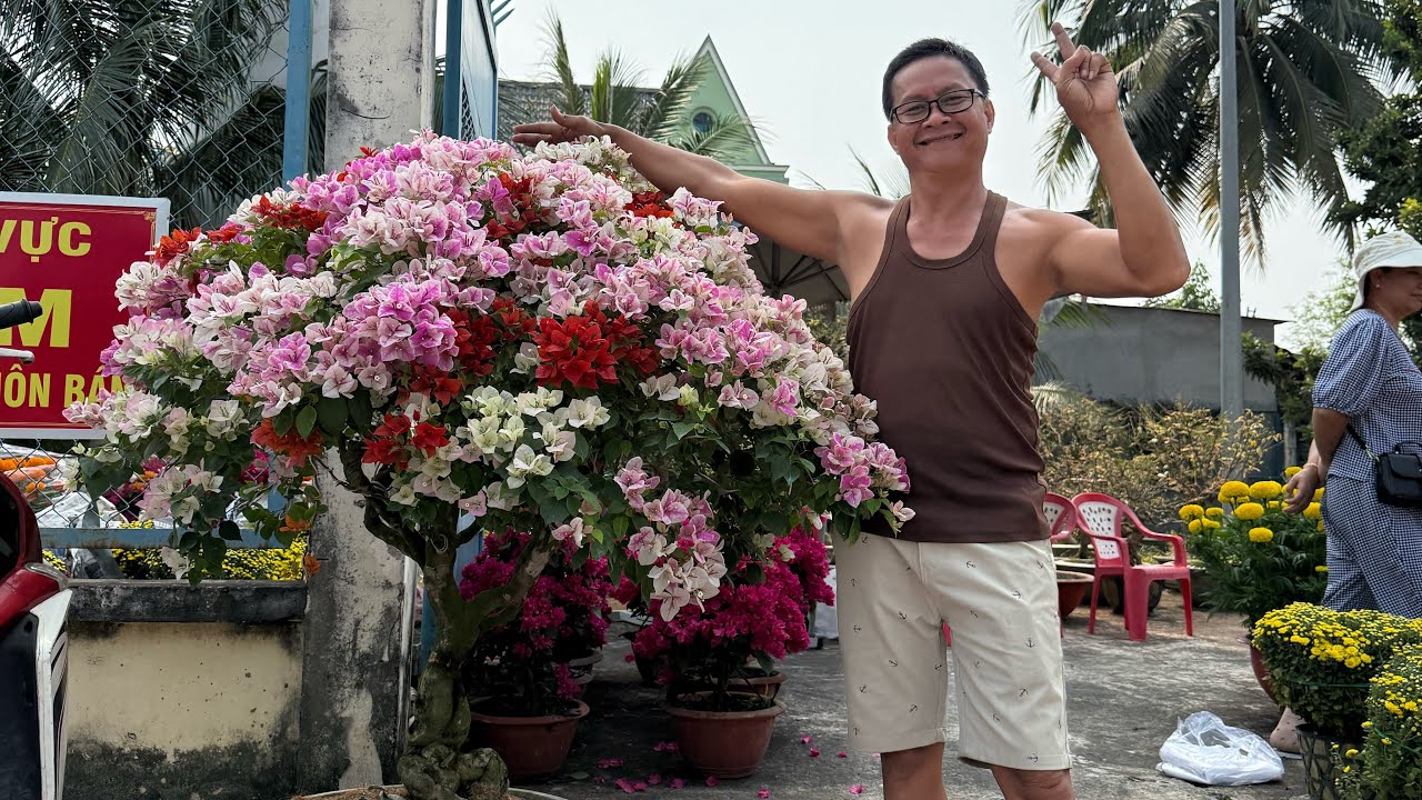 Hoa lá ngày tết của mọi người tới đâu rồi