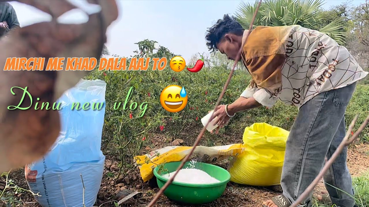Mirchi me khad dala 😂😅 !! New Vlog 2025 @dinu_lover__.00x support me !! 