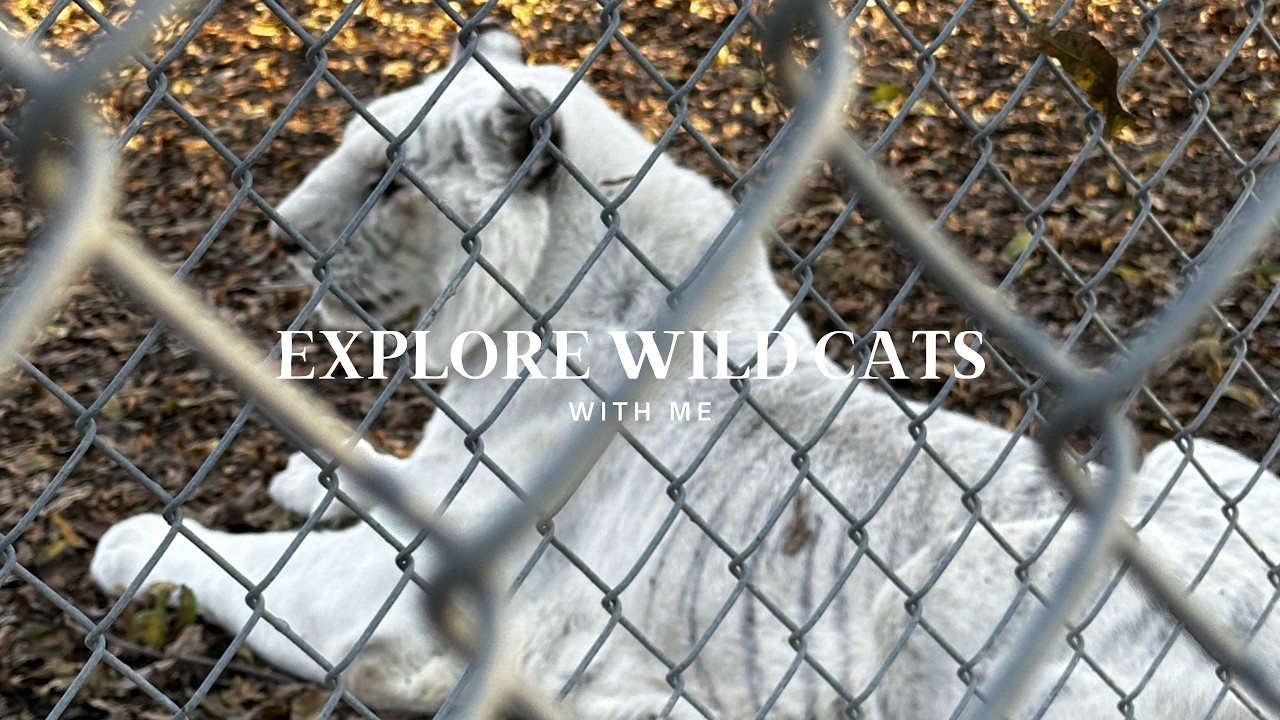 Visit to Wildlife Sanctuary
