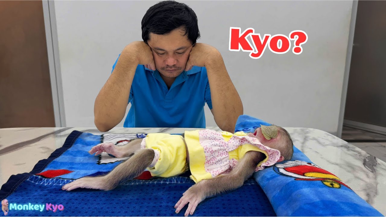 Poor Monkey Kyo – It Broke Dad’s Heart to See Her Like That!